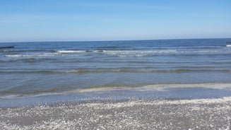 20180330_140150-standard.jpg