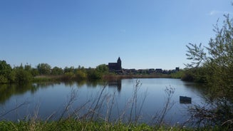 20180506_150304-standard-herl3f.jpg