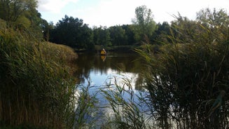 20180929_145930-standard.jpg