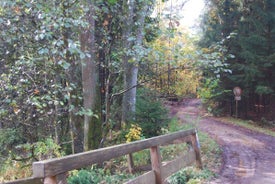 image10-6.jpg