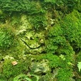 image14-2.jpg