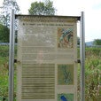 image6-5.jpg