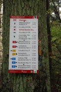 image1-9.jpg