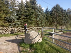 img_20191006_155234.jpg