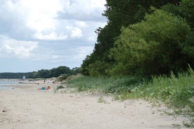 dsc_0073-standard.jpg