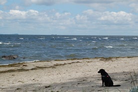 dsc_0174-standard.jpg