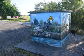 dsc_5372-standard.jpg