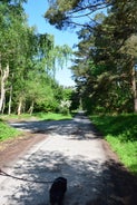 dsc_6720-standard.jpg
