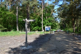 dsc_6721-standard.jpg