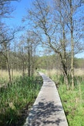 dsc_6734-standard.jpg
