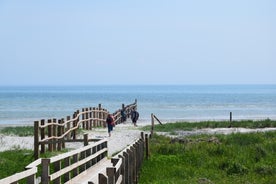 dsc_6810-standard.jpg