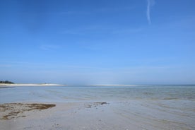 dsc_6817-standard.jpg