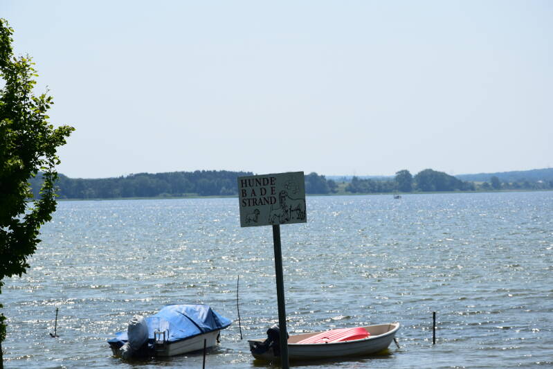 dsc_7241-standard.jpg