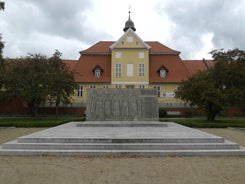 dsci0331-standard.jpg