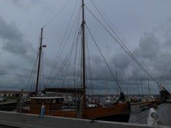 dsci0344-standard.jpg