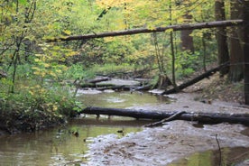 image-10.jpg