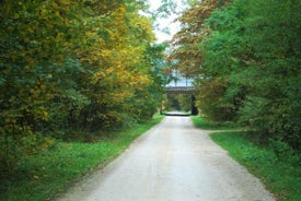 image1-10.jpg