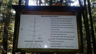 image10-5.jpg