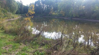 image34.jpg