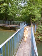 image24-1.jpg