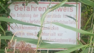 20170817_153858.jpg