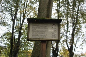 image7-7.jpg