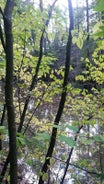 image37.jpg
