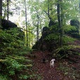 image16-2.jpg
