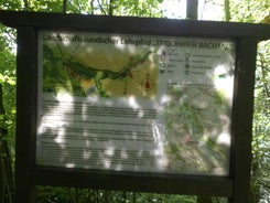 dsci0786.jpg