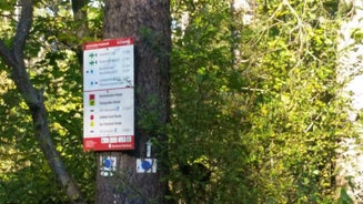 image11-1.jpg