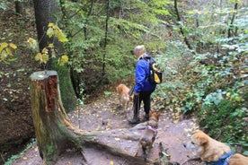 image8-7.jpg