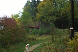 e2.jpg