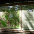 image1-1.jpg