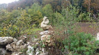 image7-3.jpg