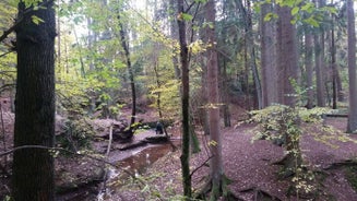 image2-8.jpg