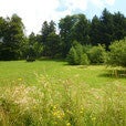 image-1.jpg
