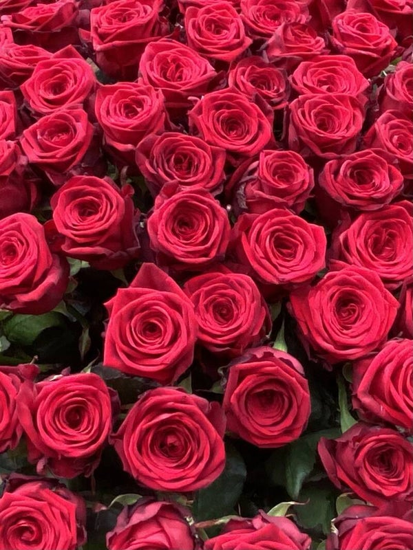 Red roses