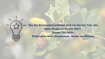 Bild: Ast eines Nussbaumes
