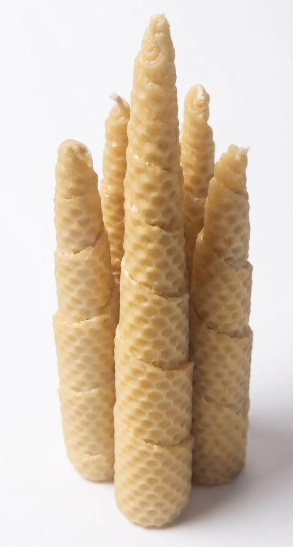 Bougies coniques en feuilles de cire d'abeille gaufrée