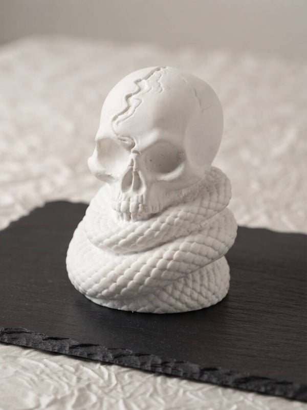 Vanité reptilienne