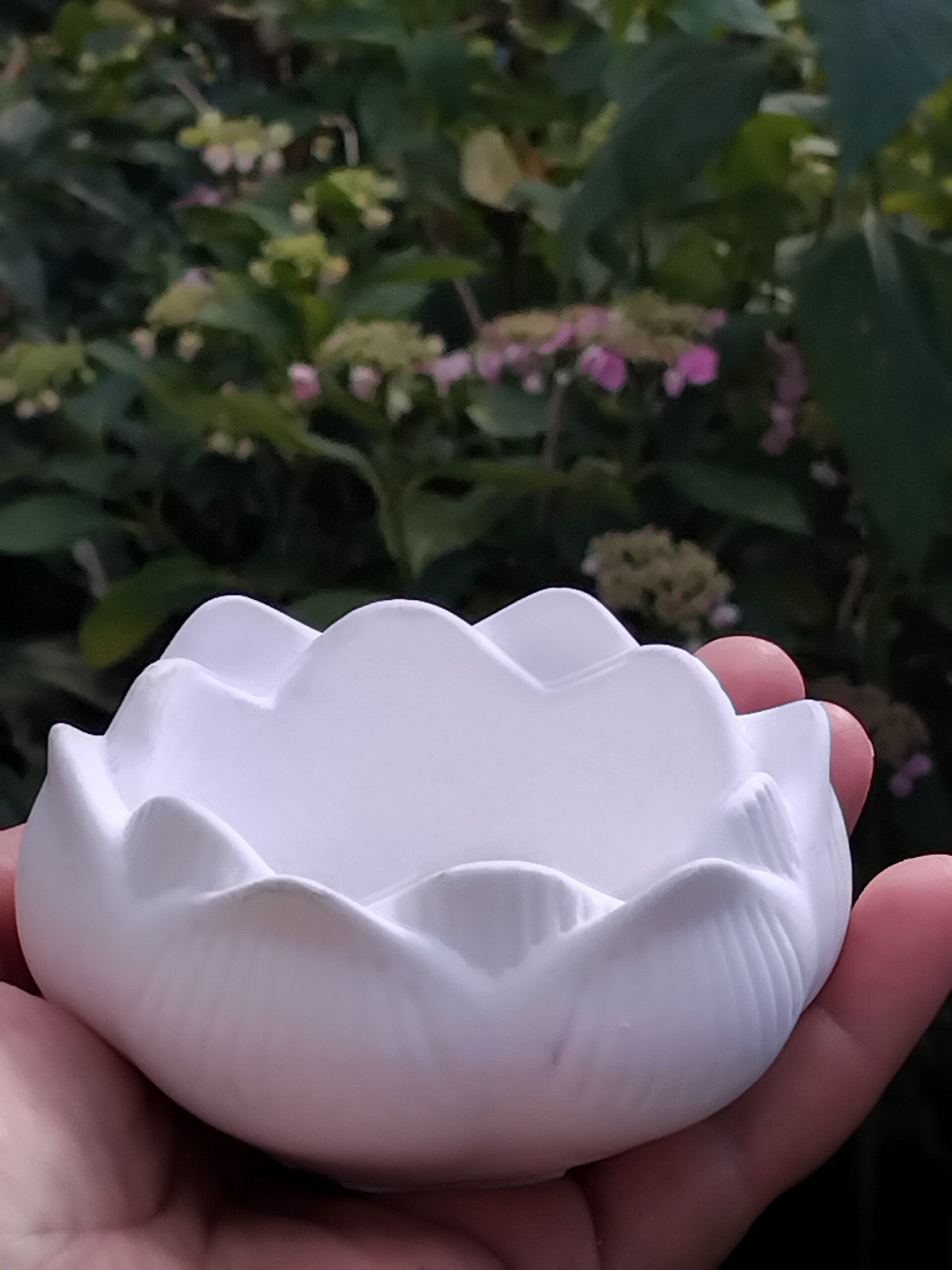 L’Écrin de Nénuphar