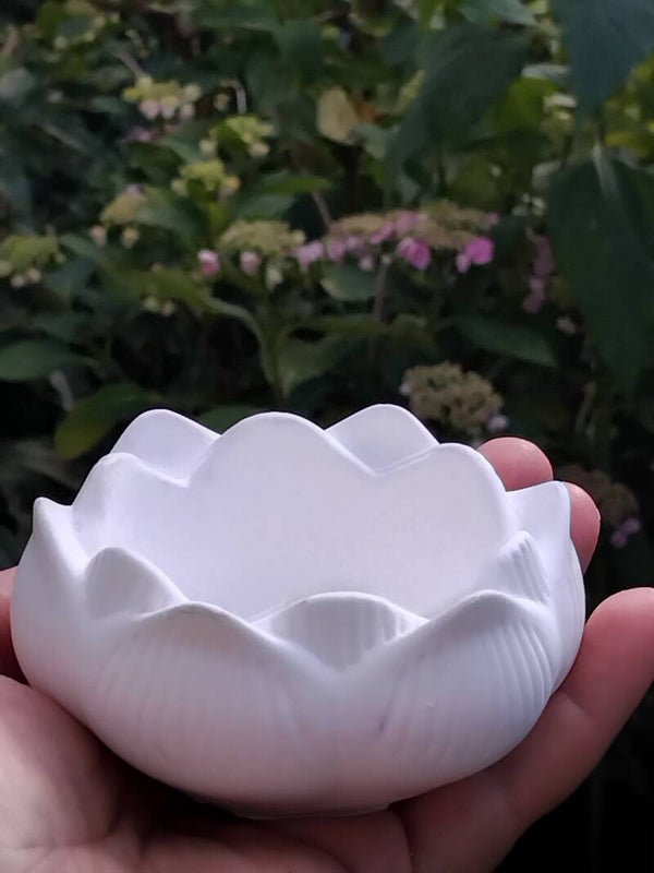 L’Écrin de Nénuphar
