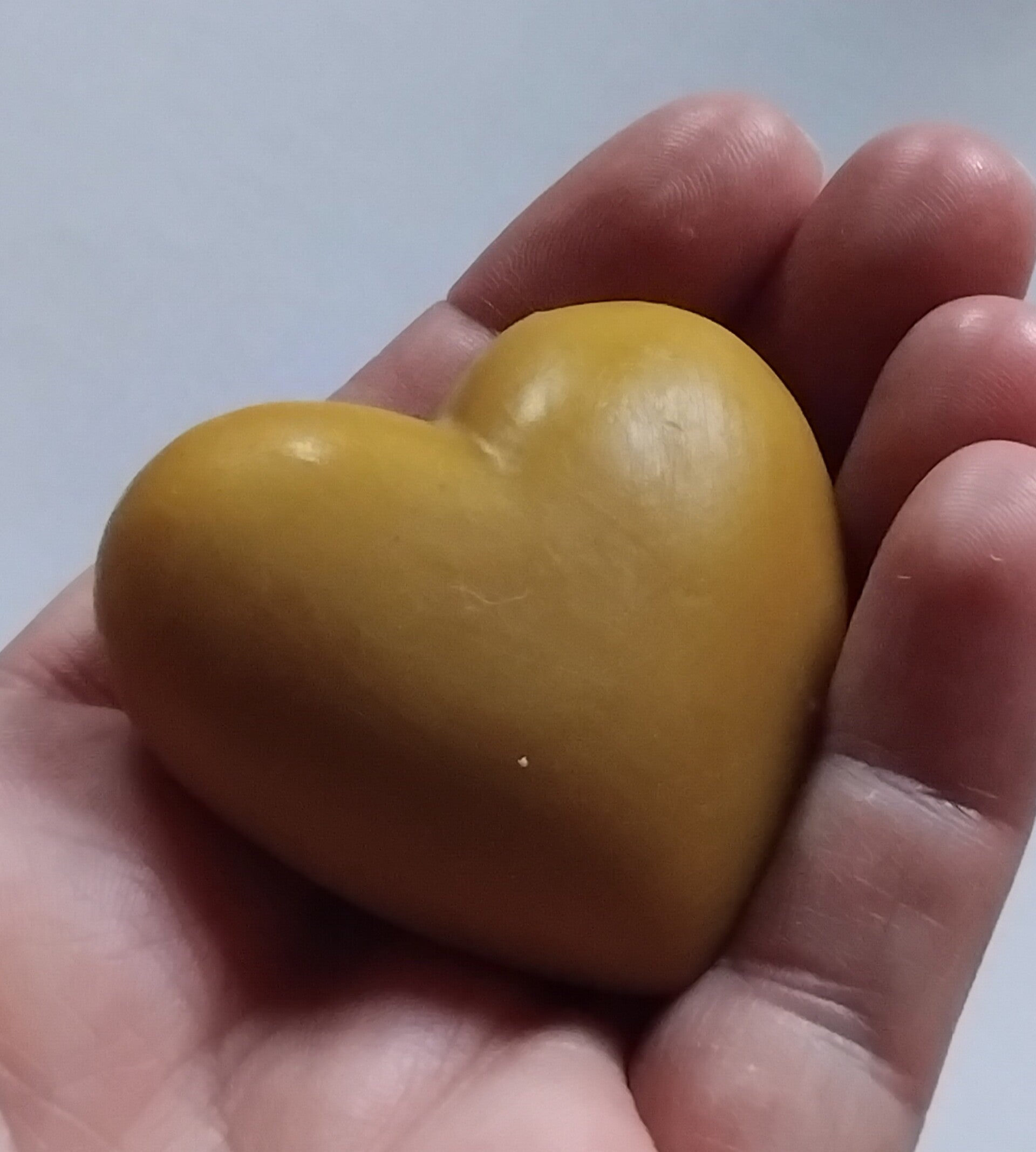 Cœur de Ruche – Fondant 100% Cire d'Abeille Naturelle