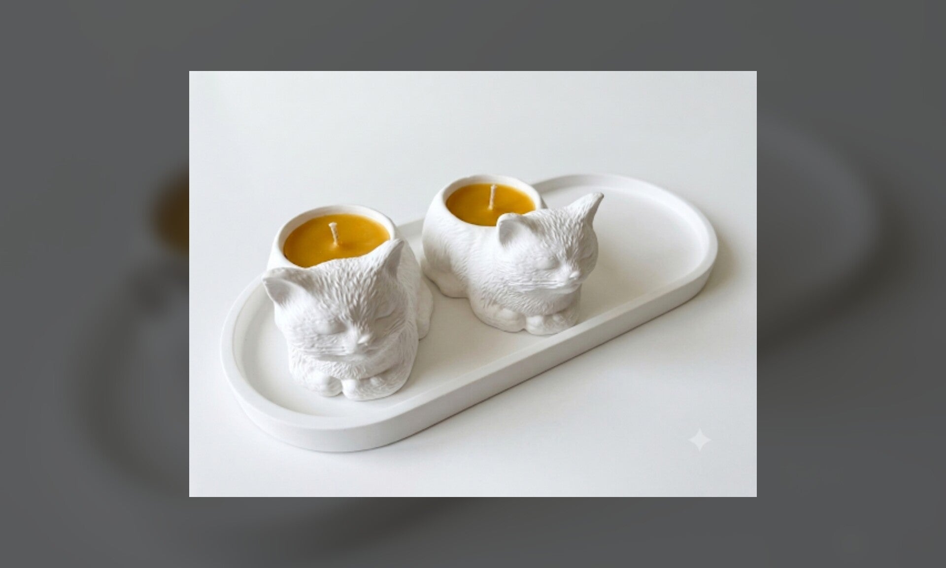 Coffret chats jumeaux