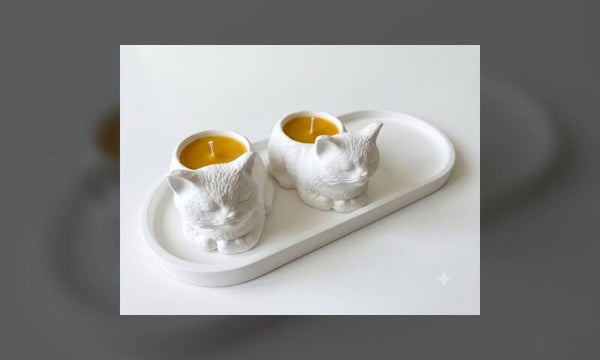Coffret chats jumeaux