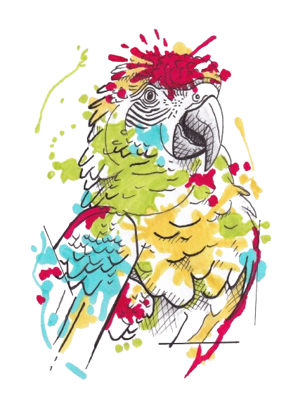 tattoo-graphique-couleur-perroquet-funky-cat-tattoo / tatoueuse bordeaux /shop tattoo bordeaux