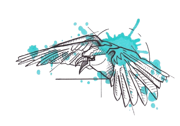 tattoo-graphique-oiseau-en-vol-couleur-funky-cat-tattoo / tatoueuse bordeaux /shop tattoo bordeaux