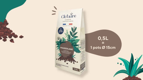 Clotaire - Pouzzolane 0.5L