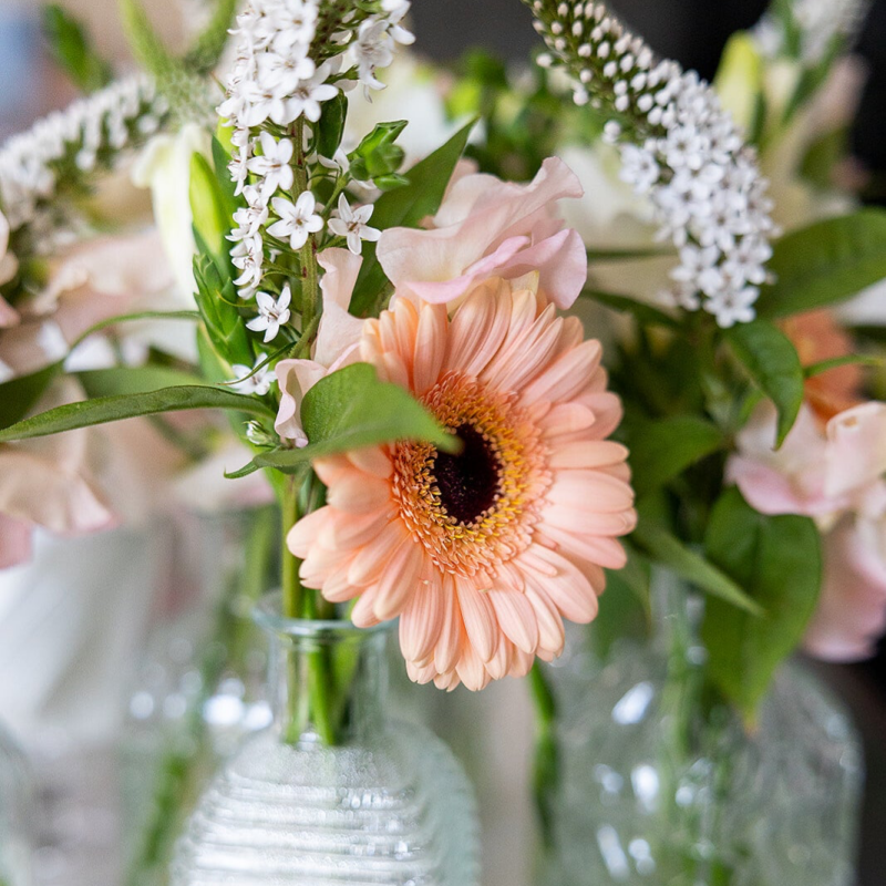 Partycatering Sassenheim