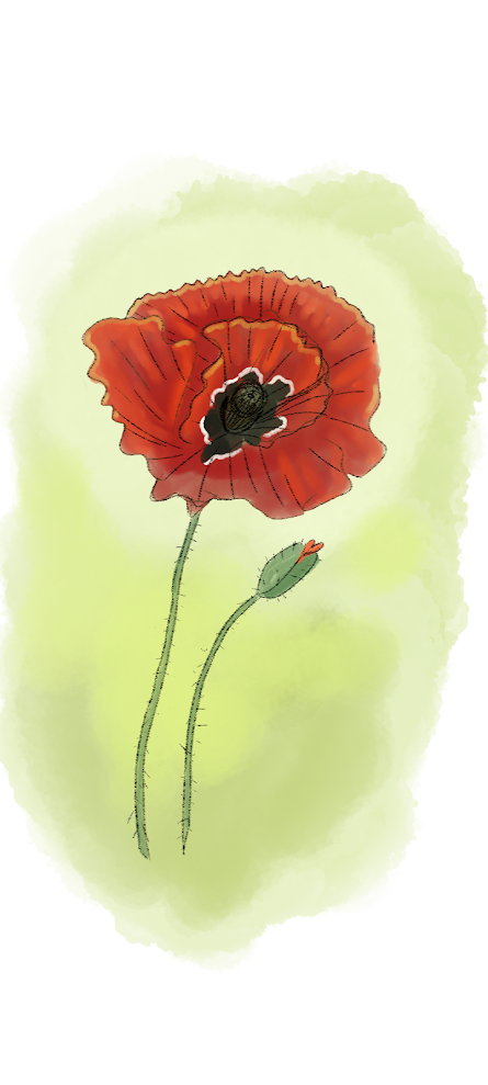 76a80971-ae4e-40b6-9e2c-e307da19be75-standard.png